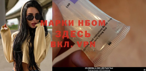 прущий лед Абаза