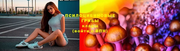 прущий лед Абаза