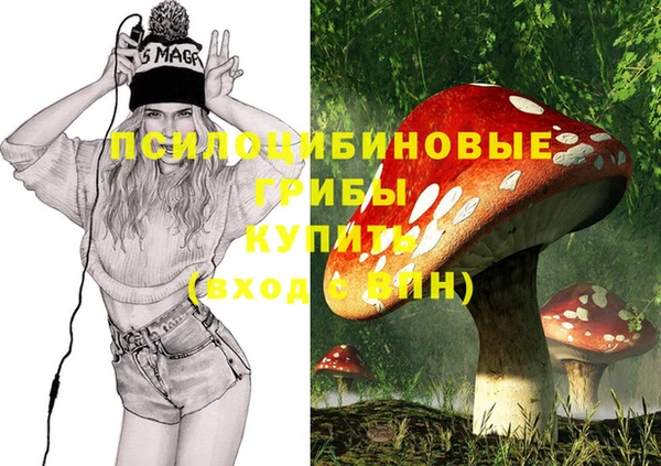 прущий лед Абаза