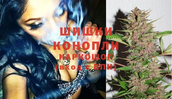 прущий лед Абаза